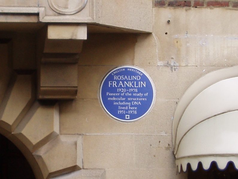 Rosalind Franklin house, London - 2.jpg